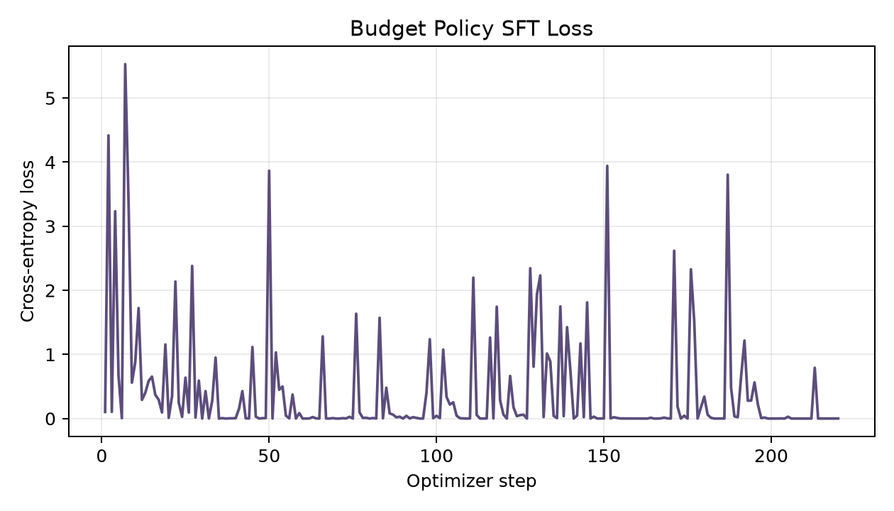 budget sft loss